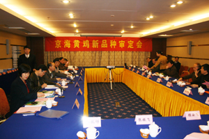20081223143830952