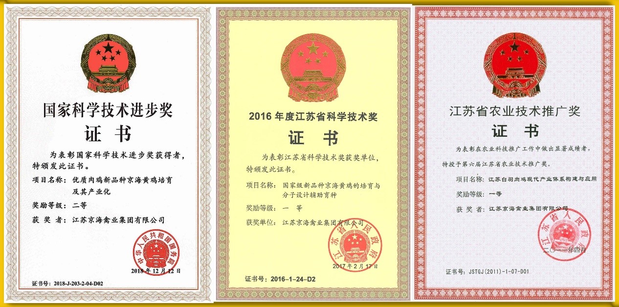 1-21122010003WZ 红蓝(中国区)股份有限公司-官网