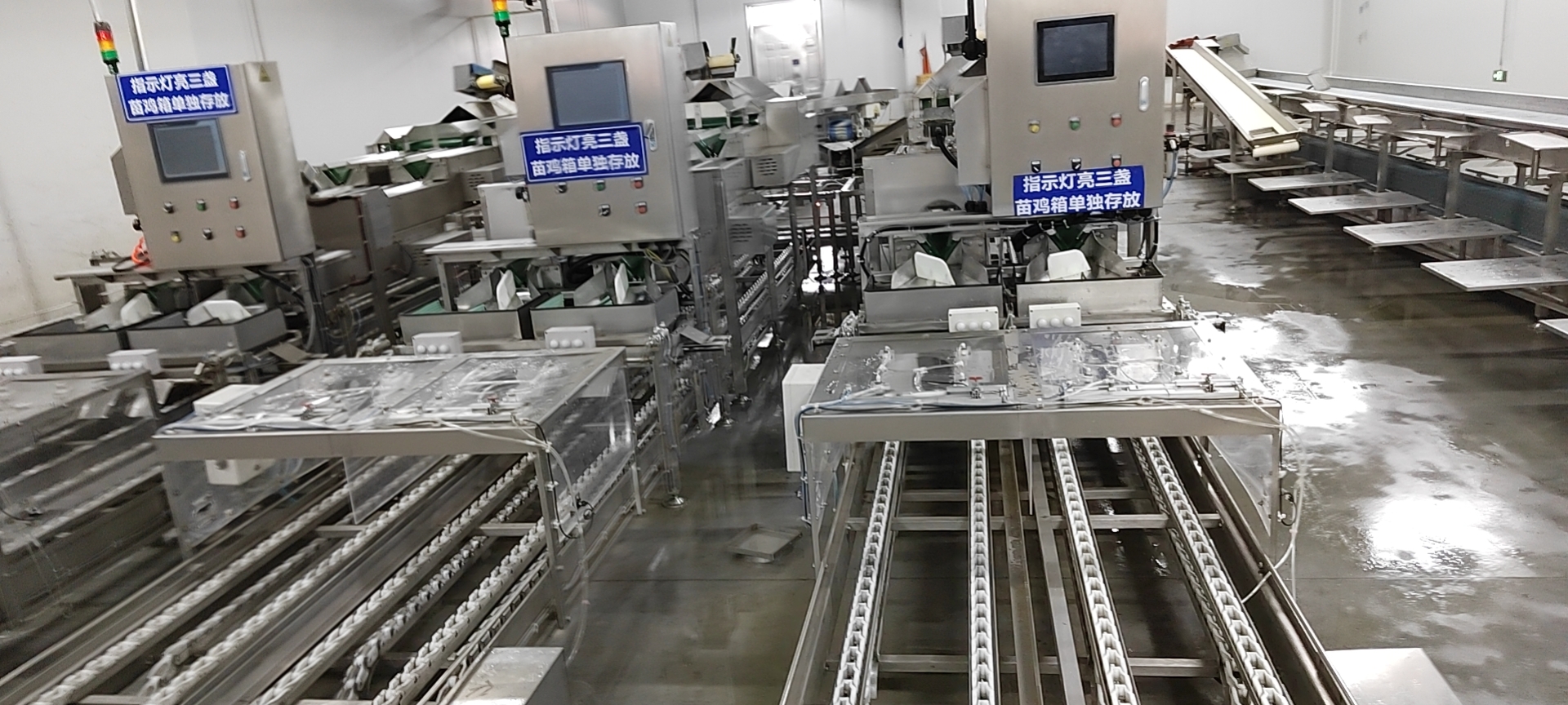 1-2412020US32F 红蓝(中国区)股份有限公司-官网
