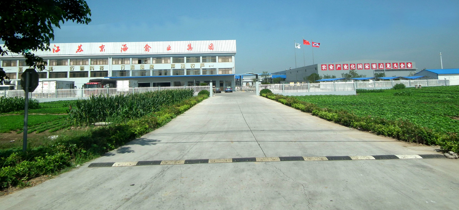 红蓝官网孵化厂.jpg